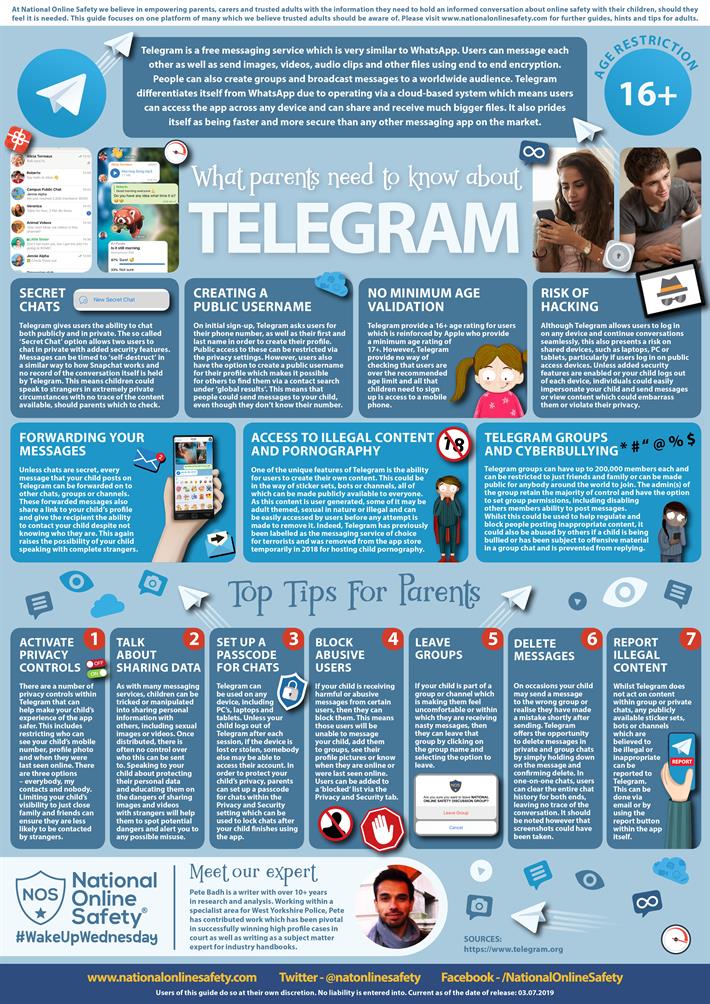 Internet safety - telegram guide.